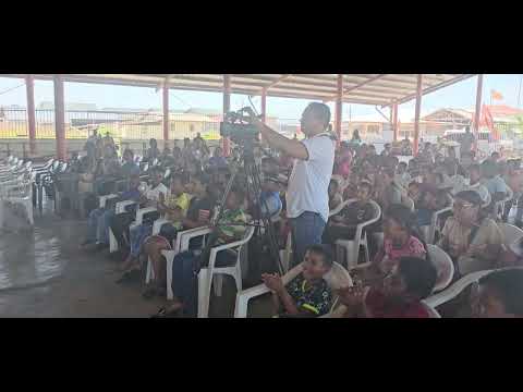 Description or Alt Text