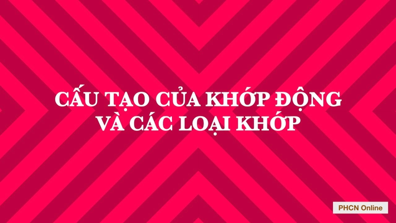 Cấu tạo của khớp