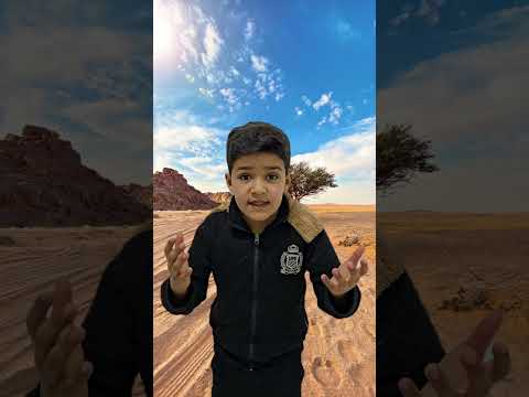 عبودي بده ياكل الاسد