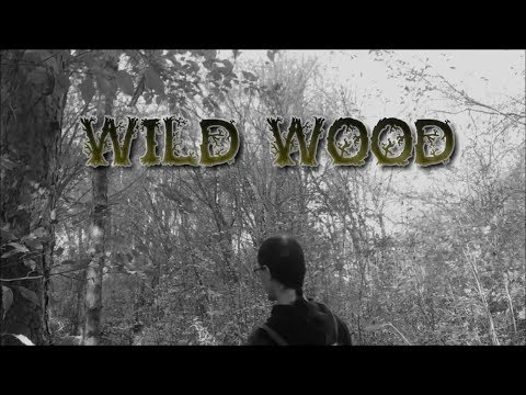 Wild Wood - The Handsome Family