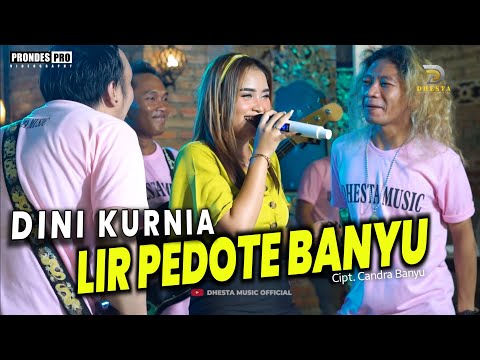 DINI KURNIA - LIR PEDOTE BANYU - FEAT ADER NEGRO (Official Music Video ) - New Dhesta Music