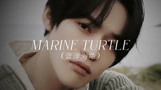 Download lagu NCT U - Marine Turtle (蓝洋海龟) (slowed w/ reverb) mp3