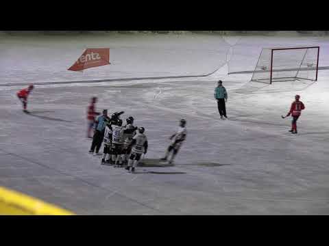 Narukerä  - Kampparit maalikooste 2.1.2021