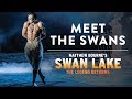 Meet The Swans