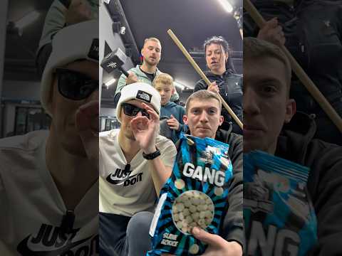 Nismo natjerani 😂 #bibotv #balkan