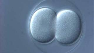 Disco Inferno - Summer&#39;s last sound