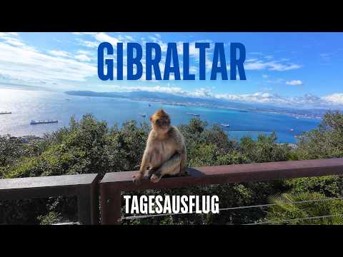 📍Gibraltar: Sehenswürdigkeiten, Reisetipps & Highlights | Die einzigen wilden Affen in Europa 🐒