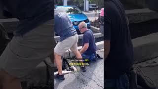 Ducklings fall into a storm drain, so the guys lift the grate 🦆❤️  #DucklingRescue #AnimalRescue #H