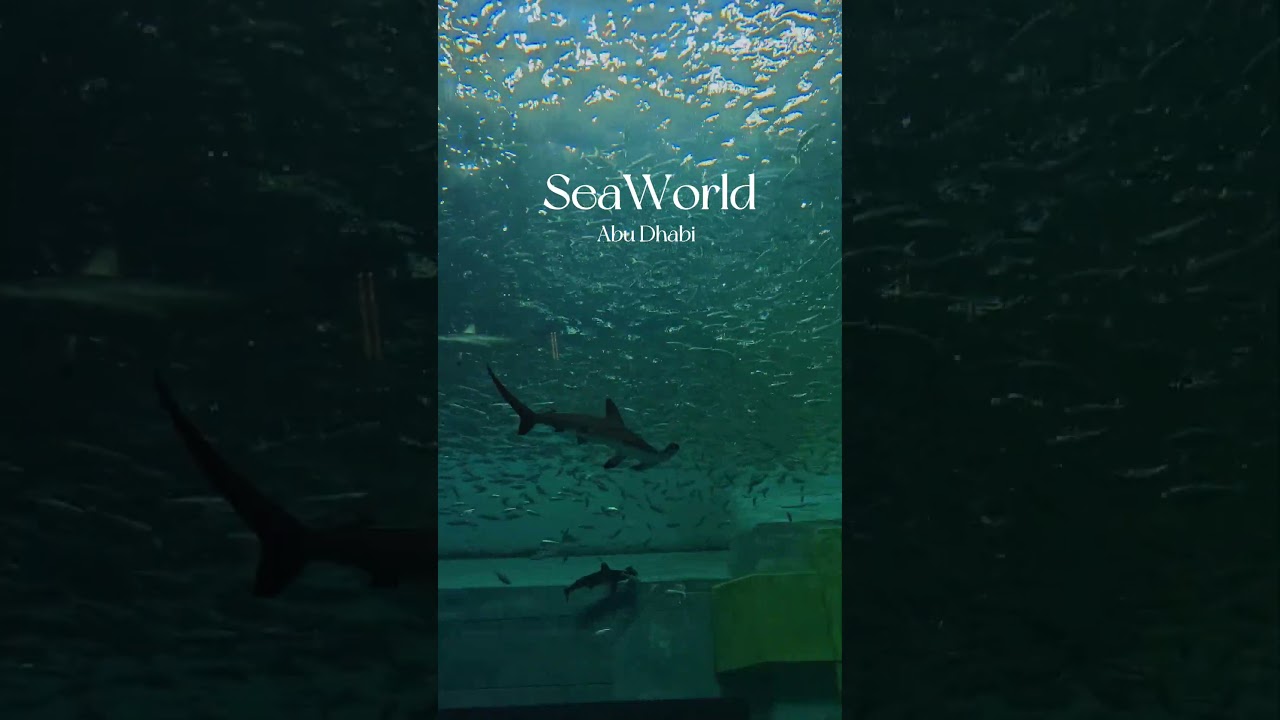 YouTube Short thumbnail