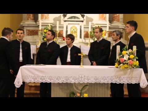 Klapa  Arti  - Javi mi se dušo javi