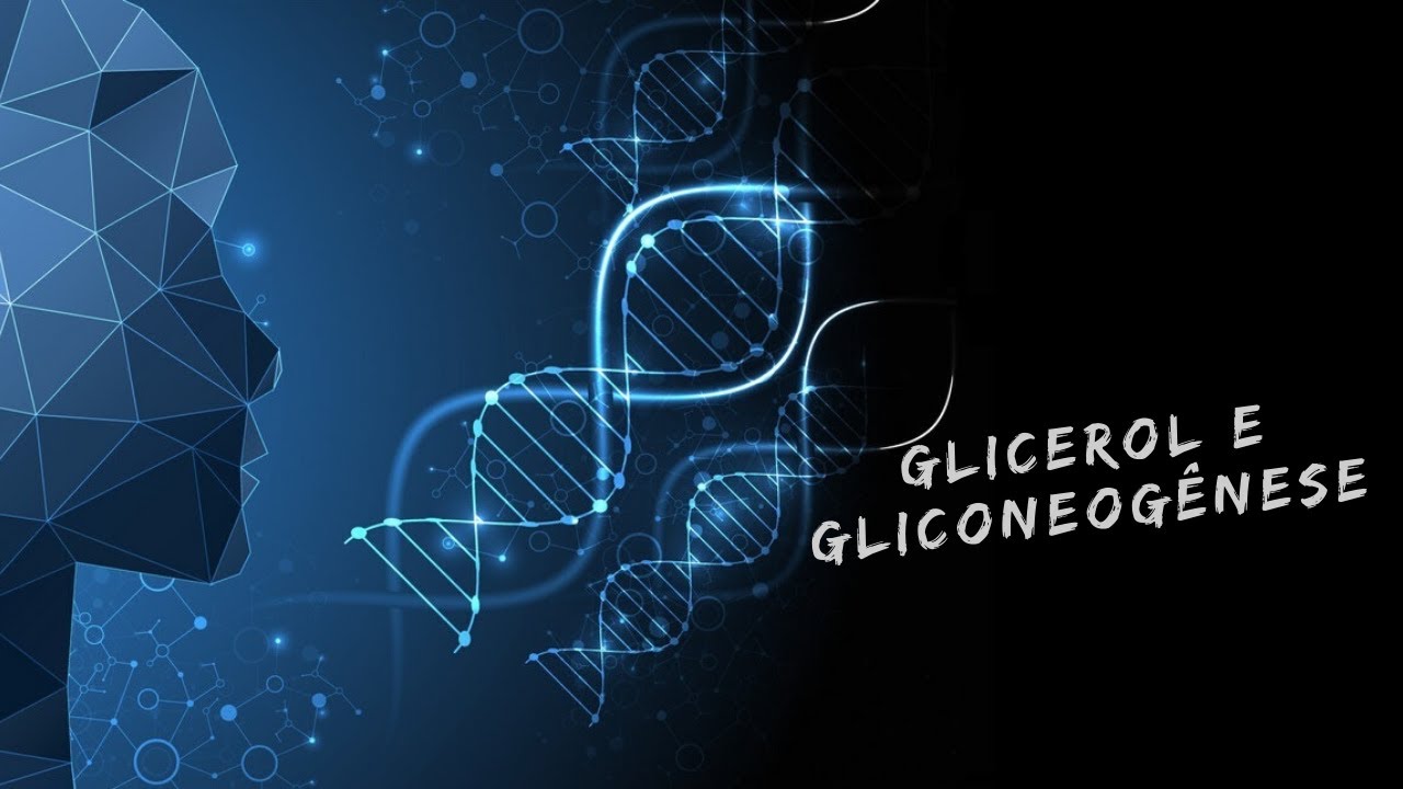 Glicerol e gliconeogênese