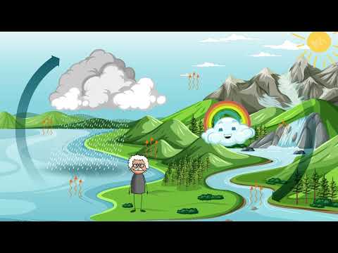☁️ Der Wasserkreislauf – Die kleine Wolke 🌦️| Kunterbunt erklärt 🌈