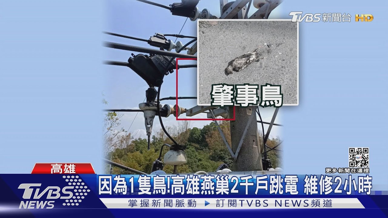 因為1隻鳥!高雄燕巢2千戶跳電 修2小時才好