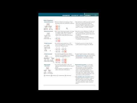 FirstAidExplained: Biochemistry E04 pg 56-61