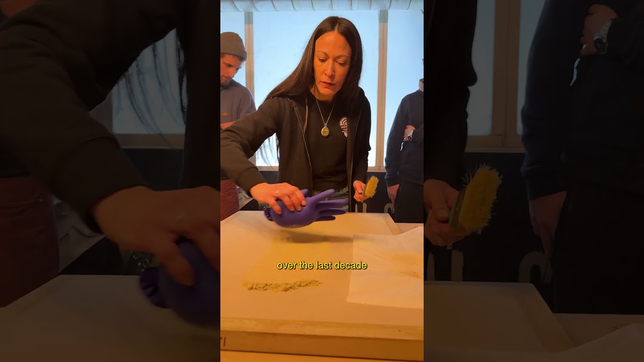 Static Dry Sift from Roolab Flavours