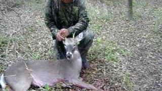 preview picture of video 'DEER HUNTING (spike deer 3points)'