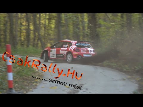 Rally Hungary 2021 Sunday