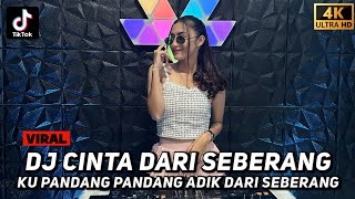 Download lagu Fdj Kyra Beby - DJ Cinta Dari Seberang (Ku Pandang Pandang Adik Dari Seberang) DUGEM VIRAL TIKTOK mp3