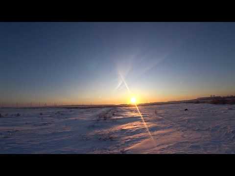 Охота на зайца 2019-2020 № 68 заяц пуля и дробь №000.
