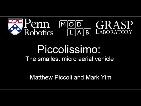 Piccolissimo ICRA 2017