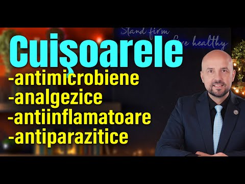 Cuișoarele sub lupă științifică: reduc durerea, inflamația, candida și biofilmul - Cipri Kaiser