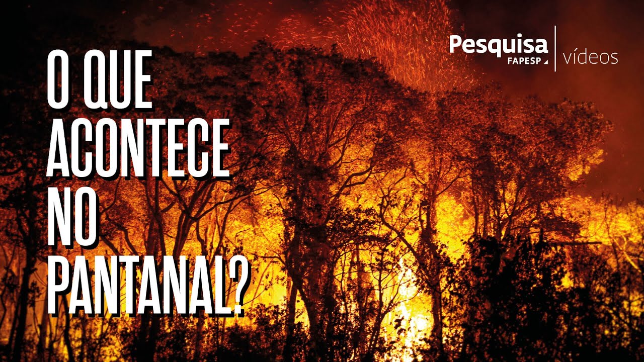 Pantanal em chamas #criseclimatica #climatecrisis #ecologie #environmentalscience #pantanal