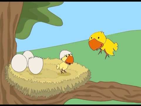 As Músicas da Carochinha Vol.3 - O Coelhinho