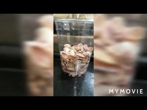 super easy Pistachio Flower made by musfira