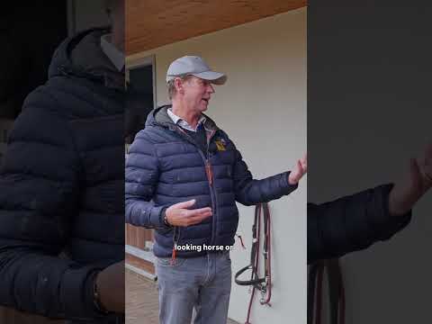 Carl Hester Shares What he Looks for When Buying Horses