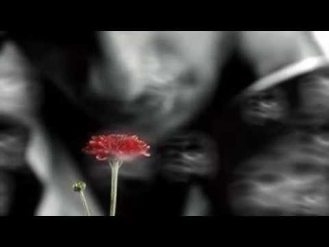 Rajzeri, Vrati je živote