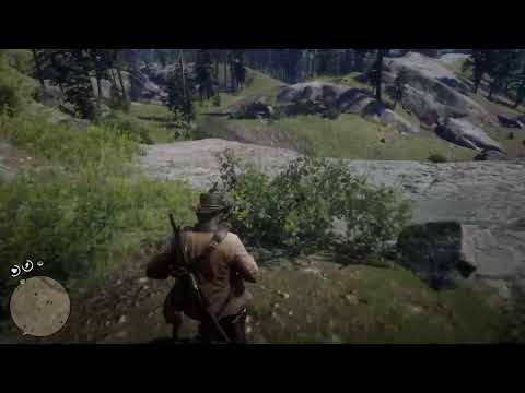 Red Dead Redemption 2 Part 8