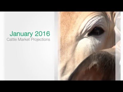 MLA Cattle Industry Projections January 2016