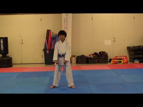 Kihon Kata Ichi