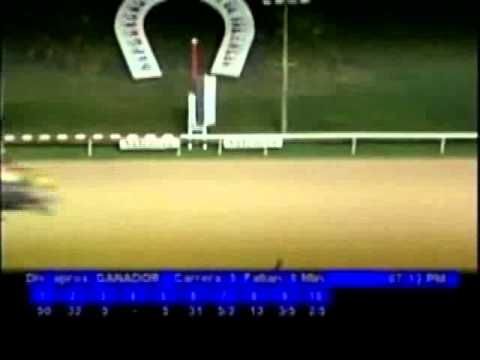 Resumen Jueves, 10 de Noviembre de 2011 - Valencia