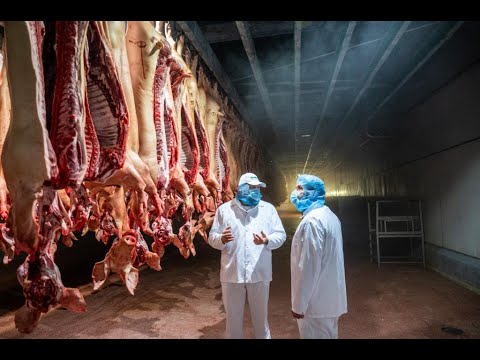 Látogatás a Kométa kaposvári húsüzemében