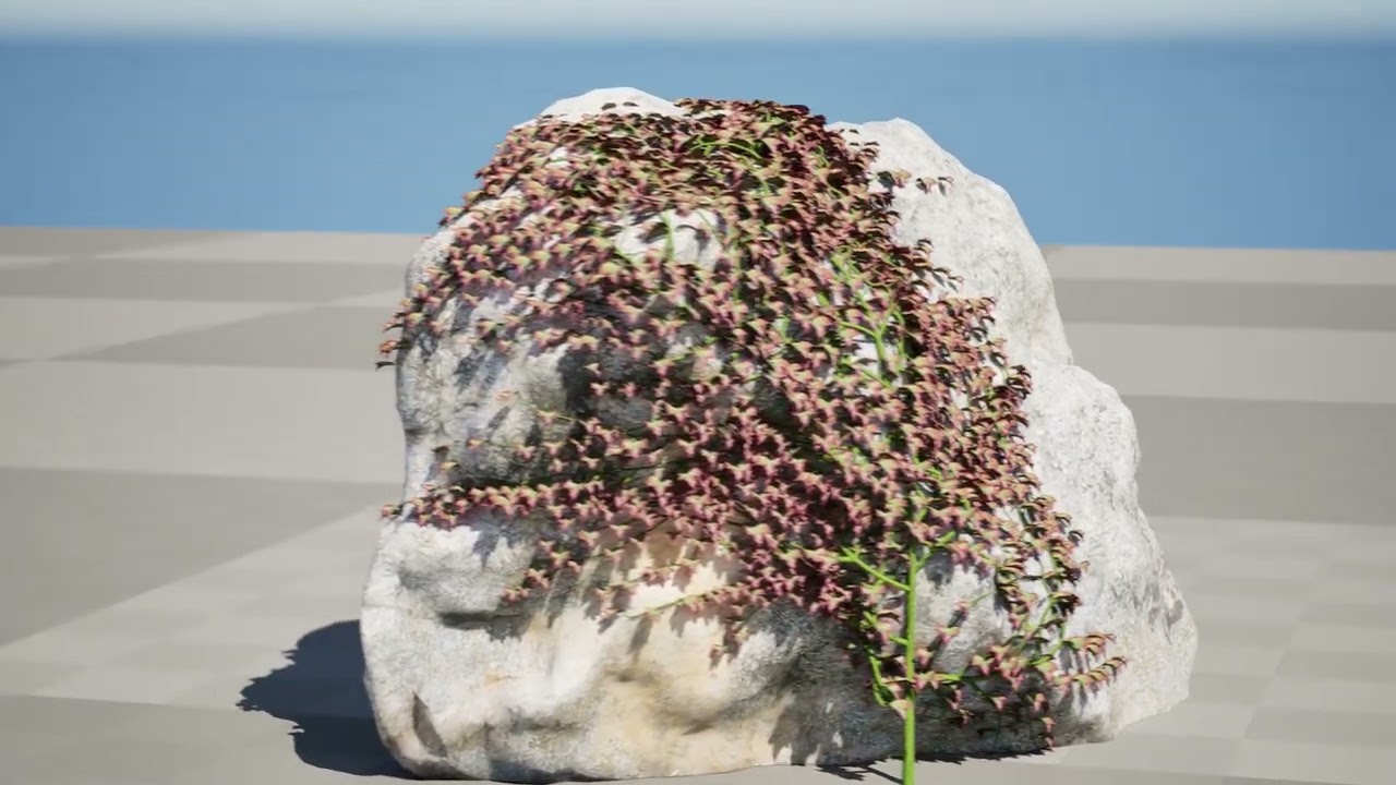 Parthenocissus Ivy on Rock 3D Model