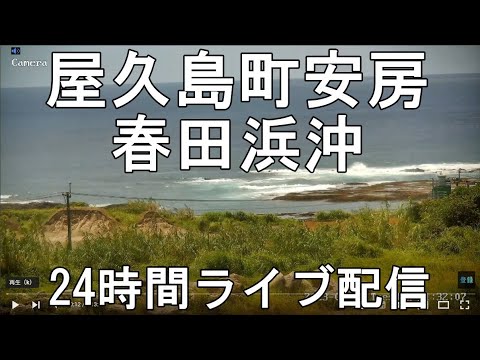 Yakushima Sea View live cam
