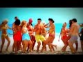 Rammstein - Mein Land (HD) (2013) 