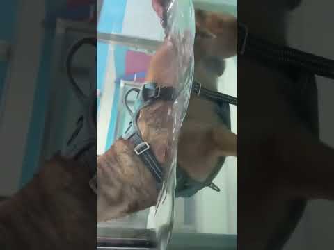 Dajme Dobbymu šancu na zdravie