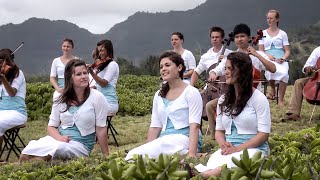 Must Jesus Bear The Cross Alone