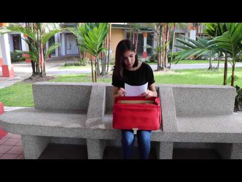 The Briefcase [NYU Accepted]