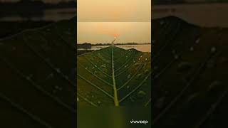 Download lagu Story 30 detik lagu galau/status wa 2020 MANTAP mp3 Download lagu Story 30 detik lagu galau/status wa 2020 MANTAP mp3