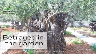 Betrayed in the garden