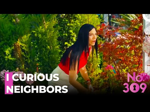 A Storm Of Questions From The Neighbors - No. 309