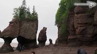 Die Schiers unterwegs in New Brunswick