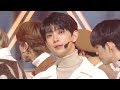 SEVENTEEN Home SBS Inkigayo Ep 989