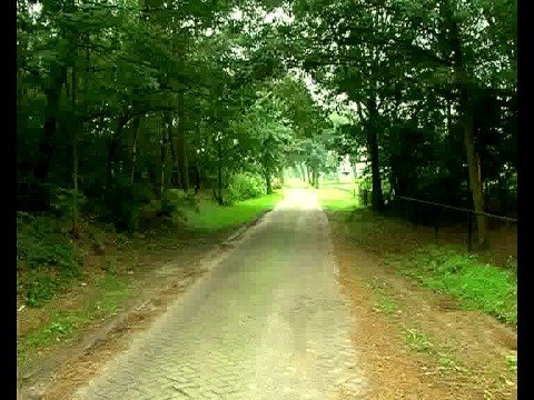 Vervolging geeist in moordzaak Schijf