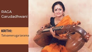 Raga Series: Raga Garudadhwani in Veena by Jayalakshmi Sekhar 008 