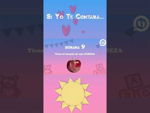 Semana 9 de embarazo #Shorts