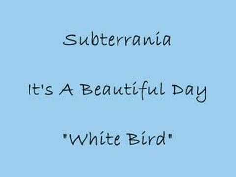download lagu mp3 mp4 White Bird Its A Beautiful Day Lyrics, download lagu White Bird Its A Beautiful Day Lyrics gratis, unduh video klip White Bird Its A Beautiful Day Lyrics